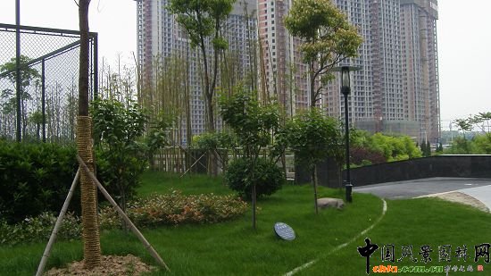 ��������ˮӡ�ǭh�����^����