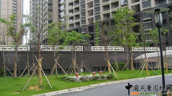 ��������ˮӡ�ǭh�����^����