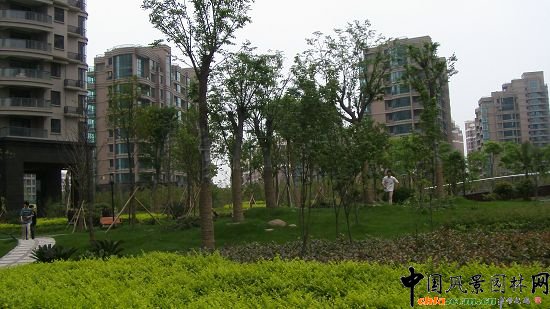 ��������ˮӡ�ǭh�����^����