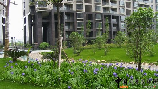 ��������ˮӡ�ǭh�����^����