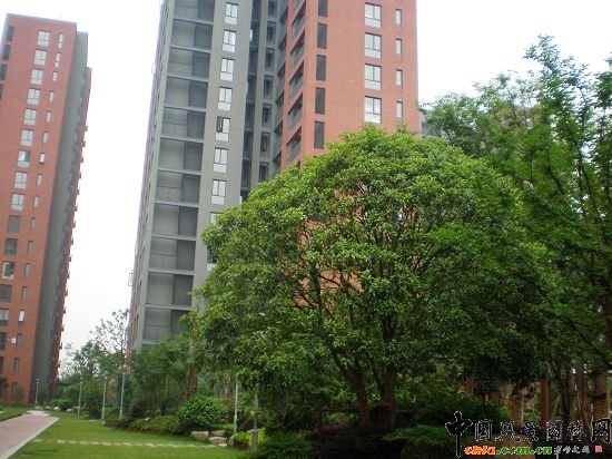 �����f������֮��1�ھ��^�G������