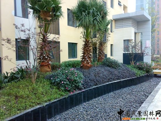 �����f������֮��1�ھ��^�G������