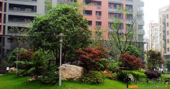 �����f������֮��1�ھ��^�G������