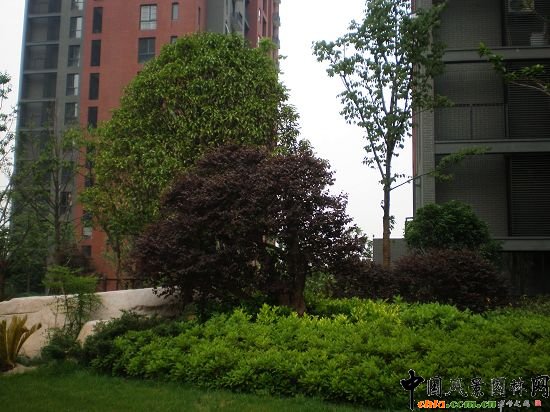 �����f������֮��1�ھ��^�G������