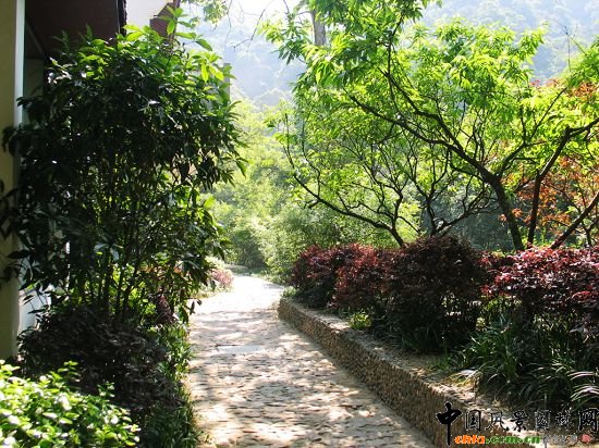 ���ݾ�Ϫ��÷�X�C������1��(bi��o)���^����