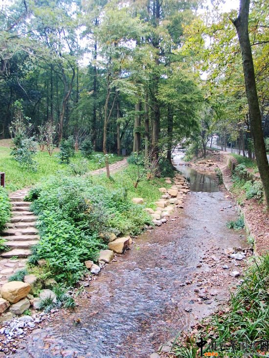 ��Ϫ��÷�X���ι���