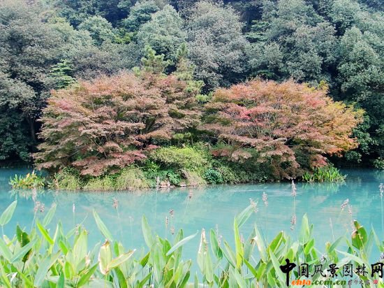 ���ݾ�Ϫ��÷�X�C������1�˾��^����