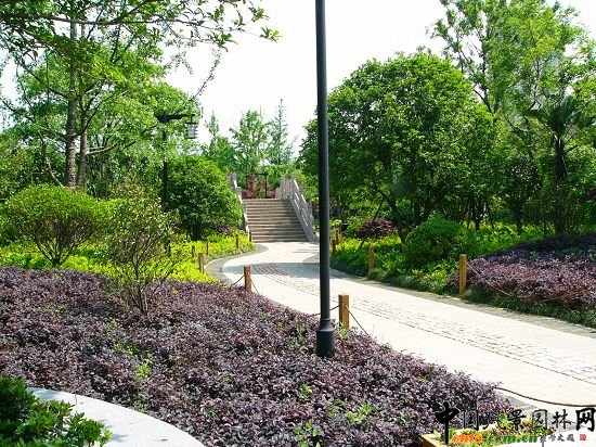 ����ˮ�����@���ھ��^����