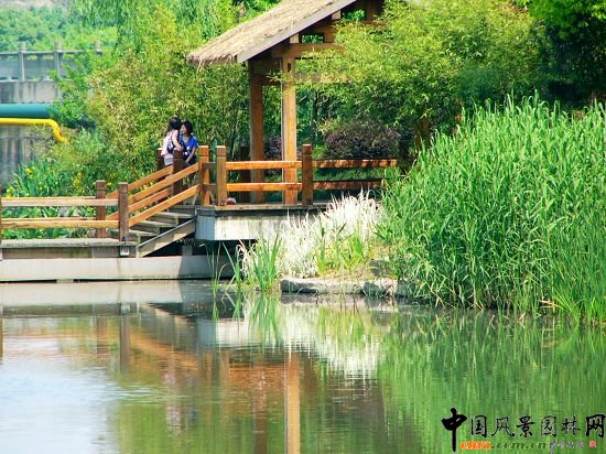 ����ˮ�����@���ھ��^����