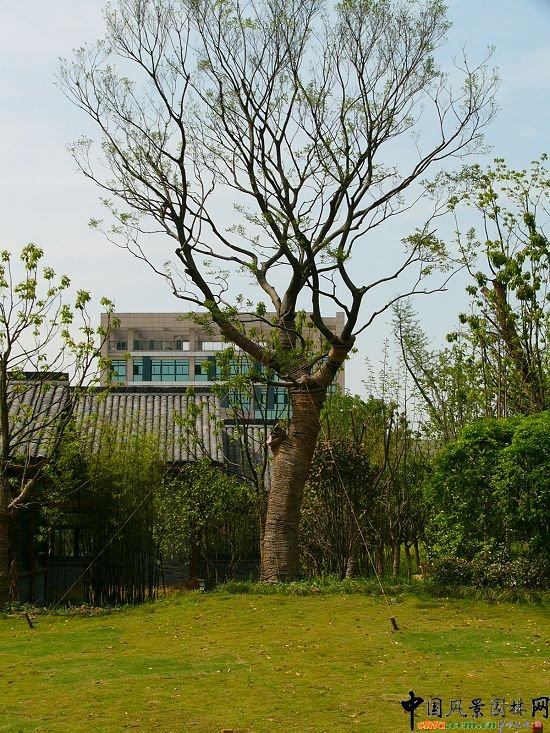 ����ˮ�����@���ھ��^����