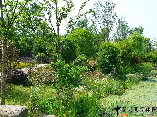 ����ˮ�����@���ھ��^����