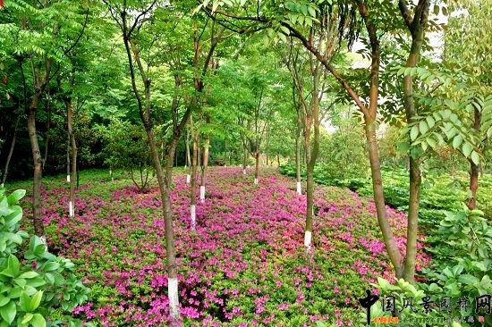 �������X���³Ƕ�̖��_���^����