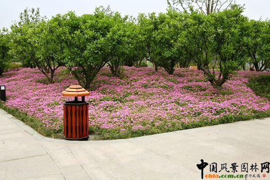 �������X���³Ƕ�̖��_���^����