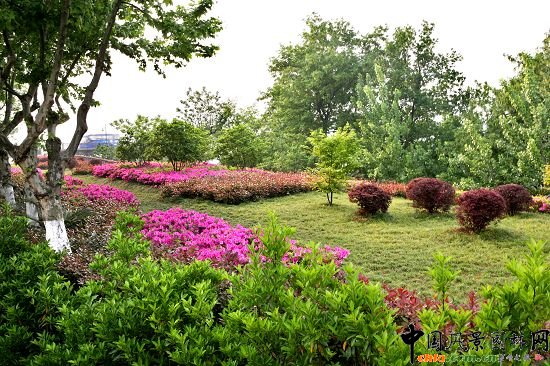 �������X���³Ƕ�̖��_���^����