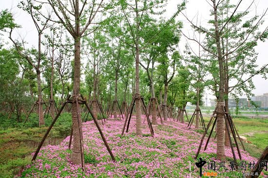 �������X���³Ƕ�̖��_���^����