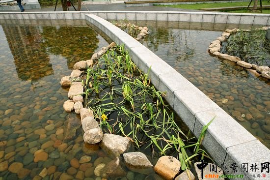 �������X���³Ƕ�̖��_���^����