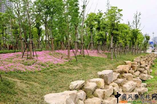 �������X���³Ƕ�̖��_���^����