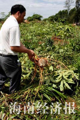 ���������ﱻ���ľ��^�䣬��ĳ�е�������