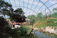 ʯ�Ş���Ұ���@