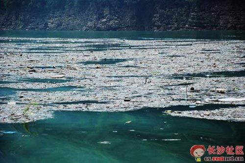 �W���؏��ҽ����ӱ�����������Ⱦ(�M�D)