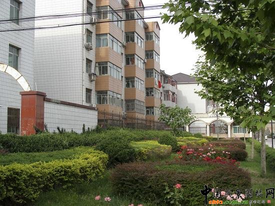 �䰲��������סլС�^