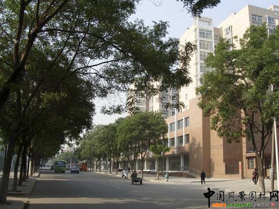 �������϶����a��