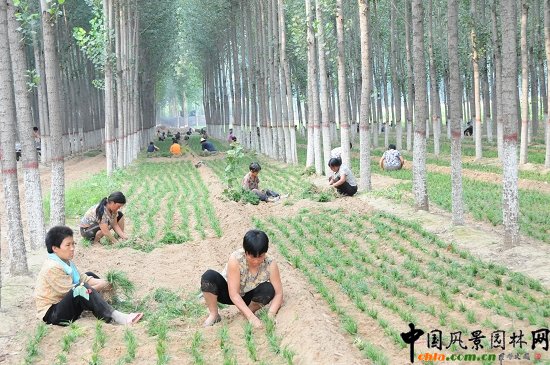 ��̽�����s�@�ֵĽ��O �lչ���½���