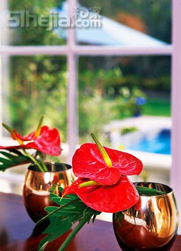 �_�����ղ廨