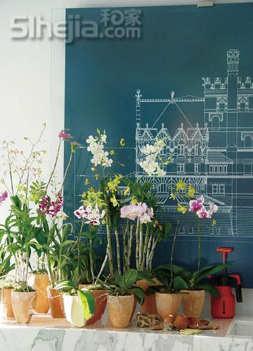 ���磬피����廨�����p