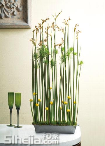 ���磬피����廨�����p