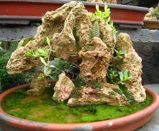 ɽˮ�辰��ɳ�eʯ ���ΫF