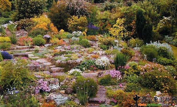 �������Щ