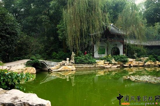 �ɗ������^ˮ�