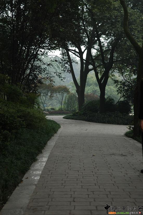 �ؑc����@�ɗ����Є����^Ƭ�^���^����