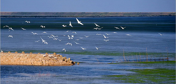 ���������������ĺӿڛ_�e�uȺ���m���v��1300����Ĝ�ɣ��׃���������������{���ؾG��ˮ����������