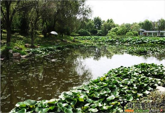 �hˮ���@�����c(di��n)��ˮ��ֲ�����ú������B(t��i)��(y��u)��