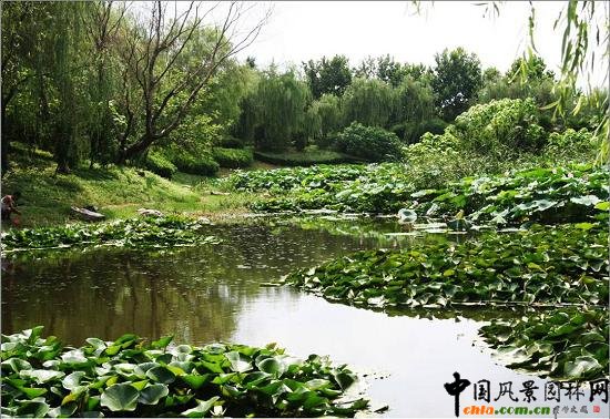 �hˮ���@�����c(di��n)��ˮ��ֲ�����ú������B(t��i)��(y��u)��