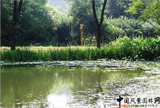 ��Ź��@ˮ��ֲ��đ�(y��ng)��