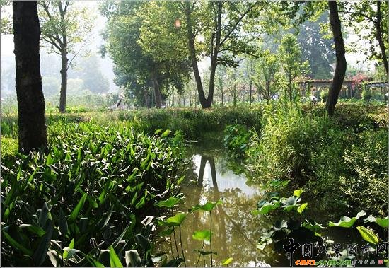 ��Ź��@ˮ��ֲ��đ�(y��ng)��