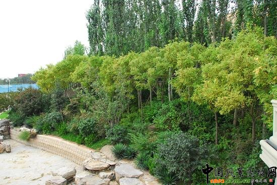 �L(zh��ng)��(l��)Է�e���G������G��