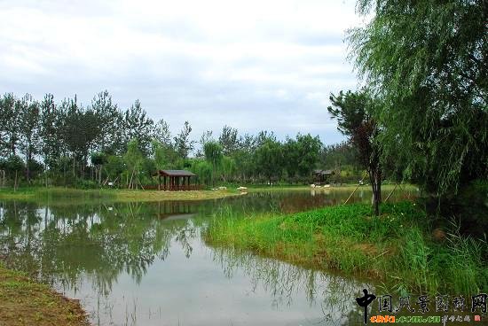 ���ǻ��@ˮϵ