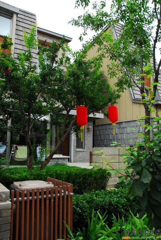 �����e���^ͥԺ�G��