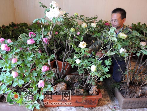 �����b܇���\��ĵ����