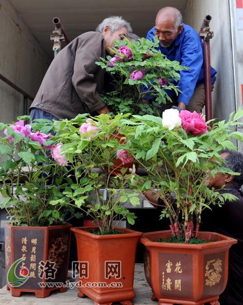   �����b܇���\��ĵ����