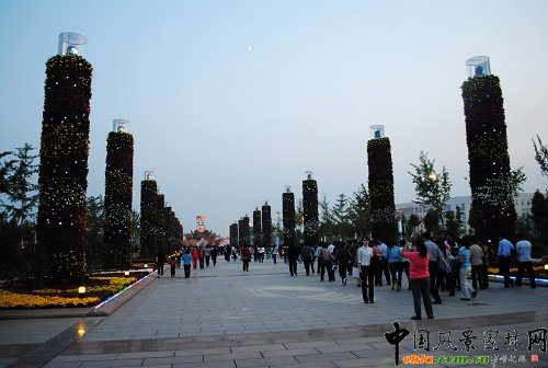 ���ߌû����������V��