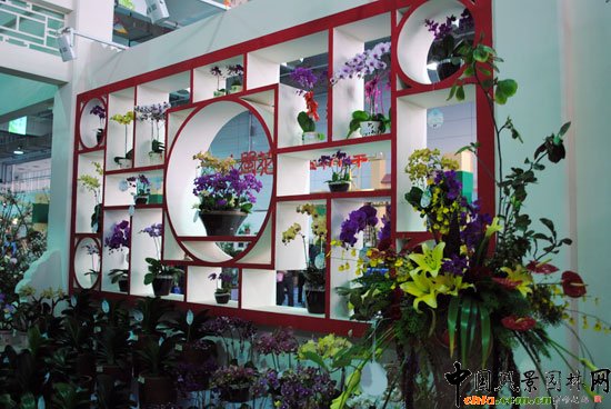 ����չλ--���ߌ��Ї�(����)������