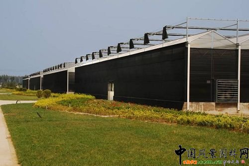 ���ܜ������