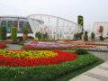上海園--第七屆中國（青州）花博會(huì)國內(nèi)展園