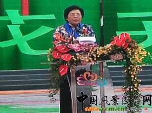 ���ɻ۳�ϯ���ߌû�����