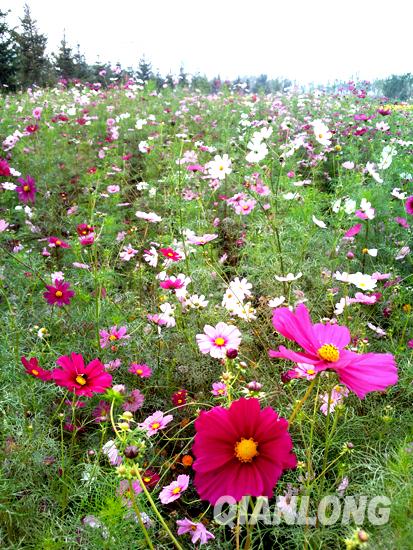 �սӴ�1.5�f�� �r�����\�I���ϵ���